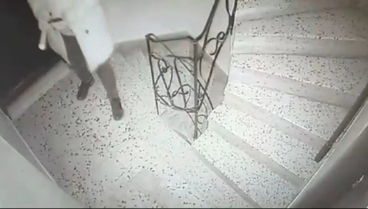 İstanbul’da komşusunun kapısına mermi bıaktı