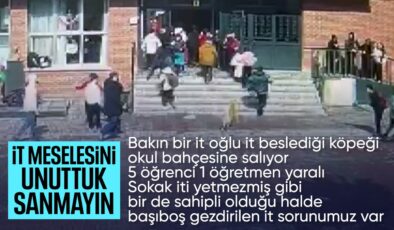 İstanbul’da okul bahçesinde köpek paniği: 5 öğrenci ve 1 öğretmeni ısırdı