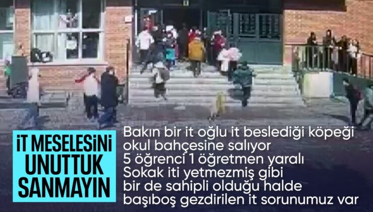 İstanbul’da okul bahçesinde köpek paniği: 5 öğrenci ve 1 öğretmeni ısırdı