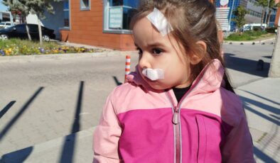 İzmir’de AVM’deki sahipsiz köpek 3 yaşındaki Elif’e saldırdı