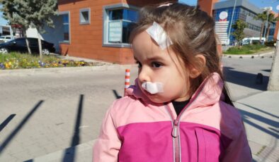 İzmir’de bir AVM’de sahipsiz köpek 3 yaşındaki çocuğa saldırdı