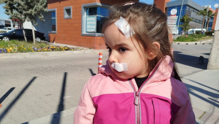 İzmir’de bir AVM’de sahipsiz köpek 3 yaşındaki çocuğa saldırdı