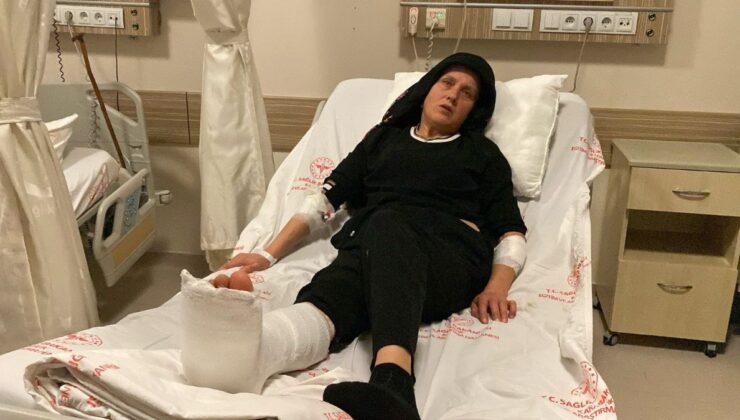 Karabük’te 3 köpeğin saldırısına uğrayan kadın yaralandı