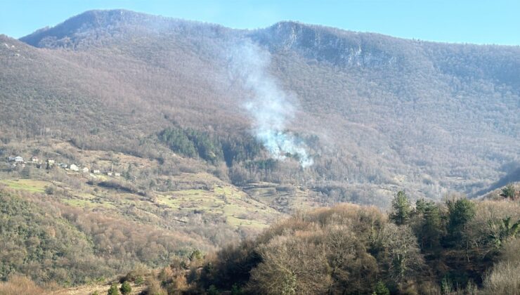 Karabük’te ormanlık alanda örtü yangını çıktı