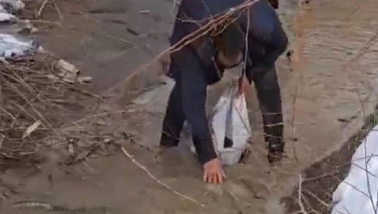 Kars Aras Nehri’nde balık ölümleri