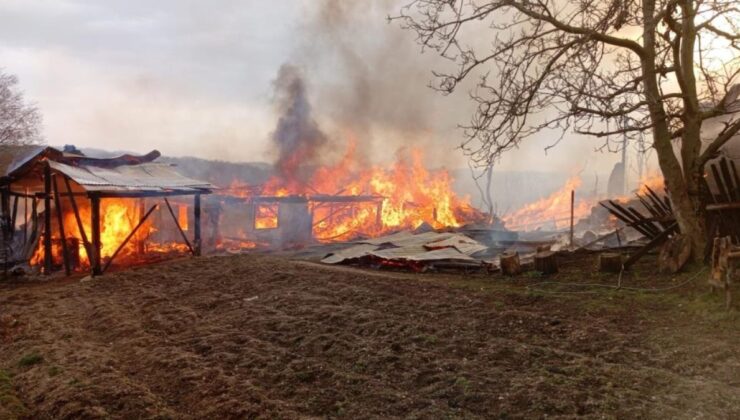 Kastamonu’da köy yangını