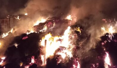 Kırklareli’nde korkutan yangın: Ağıl kül oldu