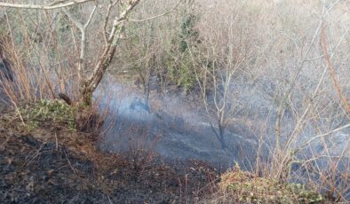 Kocaeli’de temizlik amacıyla yakılan ateş ormanı küle çevirdi
