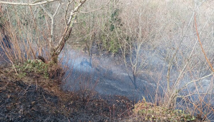 Kocaeli’de temizlik amacıyla yakılan ateş ormanı küle çevirdi