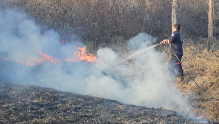 Malatya’da sazlık alanda yangın paniği