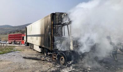 Manisa’da seyir halindeyken alev alan tır küle döndü