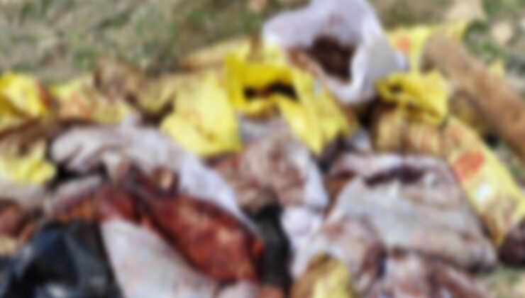 Mardin’de at ve eşek kesen şüpheli yakalandı