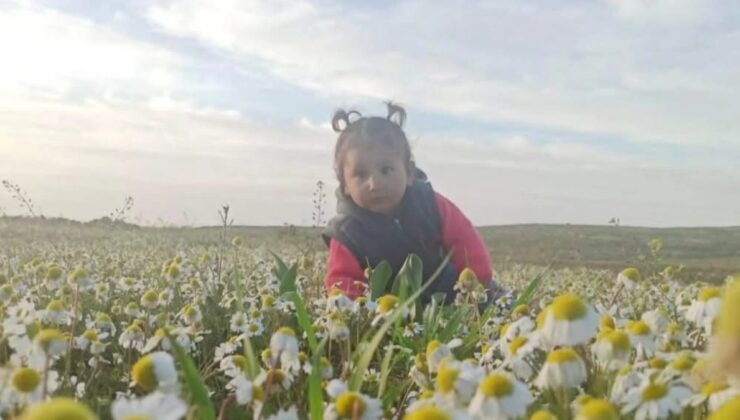 Mardin’de evinin önünde aracın çarptığı 2 yaşındaki bebek can verdi