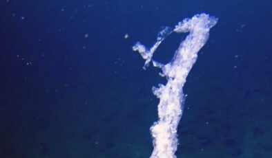 Marmara Denizi’nde müsilaj tehlikesiyle mücadele