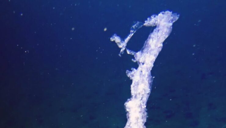 Marmara Denizi’nde müsilaj tehlikesiyle mücadele