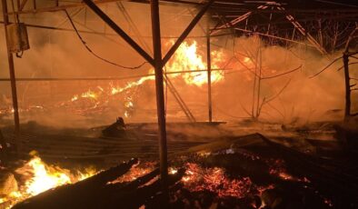 Mersin’de çiftlik yangını geceyi aydınlattı