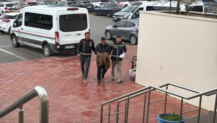 Muğla’da bir şahıs ağaç budarken çıktığı duvardan düştü