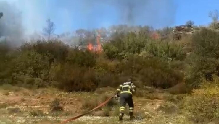 Muğla’da çalılık yangınında 500 metrekare alan zarar gördü