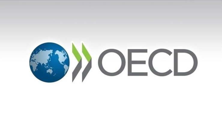 OECD: Küresel borç piyasaları zorlu bir görünümle karşı karşıya