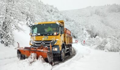 Ordu’da karla mücadele yeniden başladı