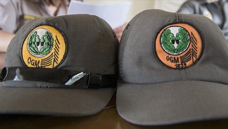 Orman Genel Müdürlüğü, 4 bin 500 işçi alımı yapacak