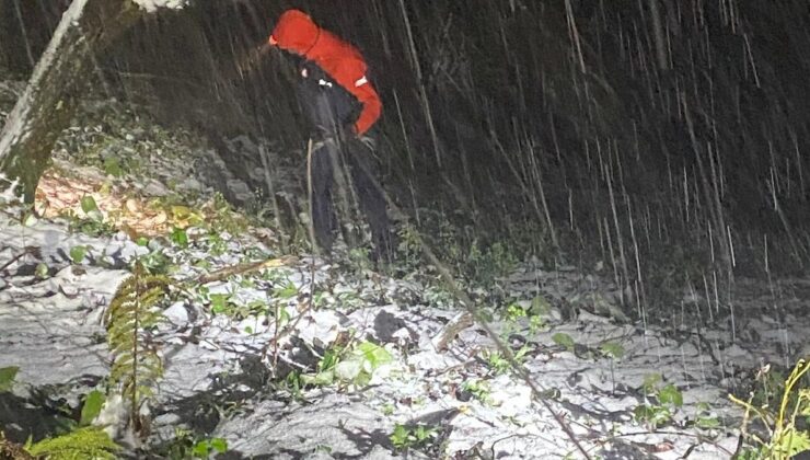 Sakarya’da uçuruma düşen otomobilde sıkışan sürücü halatla kurtarıldı