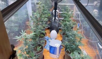 Samsun’un 3 ilçesinde koordineli uyuşturucu operasyonu düzenlendi