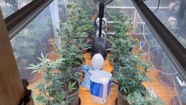 Samsun’un 3 ilçesinde koordineli uyuşturucu operasyonu düzenlendi