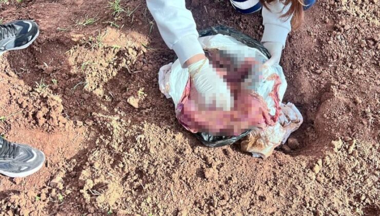 Şırnak’ta bebek cinayetine 2 tutuklama