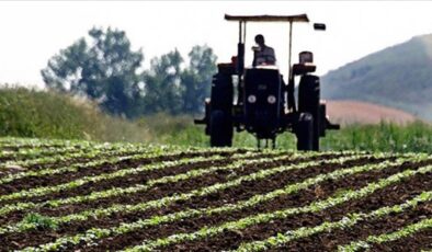 Tarım arazilerinin etkinleştirilmesine 679 milyon TL