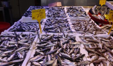 Türkiye genelinde balık avı sezonu 15 Nisan’da sona erecek