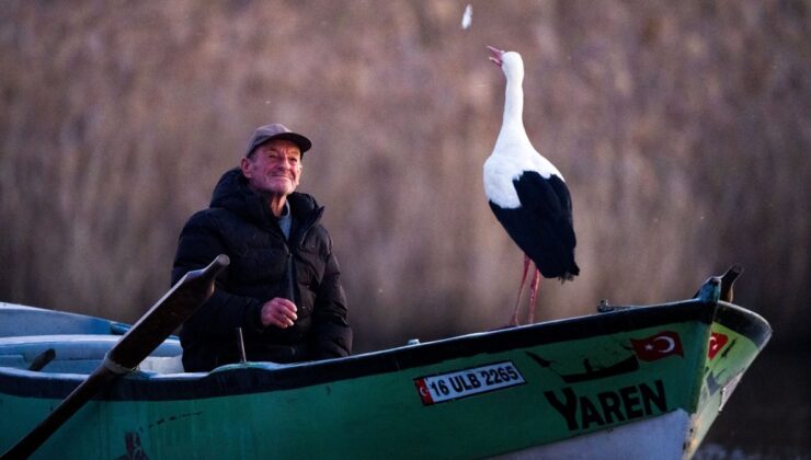 Yaren leylek 14’üncü yılda da Bursa’a göçtü