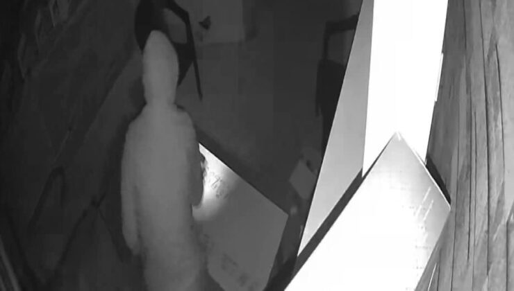 Adana’da balyozla hırsızlık yapan şüpheli suçunu kabul etmedi