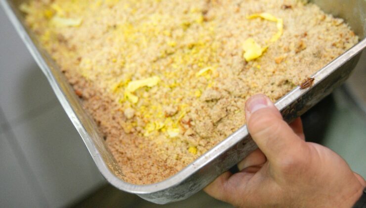 Adana’da böcek dolu tatlıcıya 105 bin TL ceza