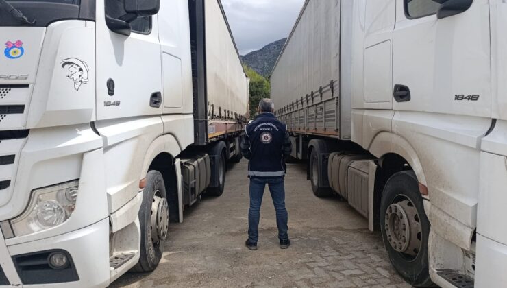 Amasya’da kaçak göçmenler, tırlarda uyurken yakalandı