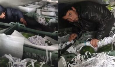 Amasya’da karpuz taşıyan tırın dorsesinde 3 düzensiz göçmen yakalandı