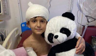 Ankara’da köpeklerin saldırdığı Tunahan’ın ailesinden tazminat davası