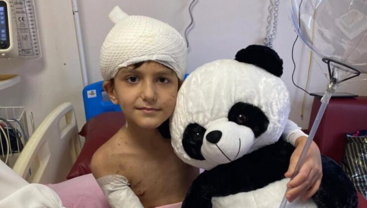 Ankara’da köpeklerin saldırdığı Tunahan’ın ailesinden tazminat davası