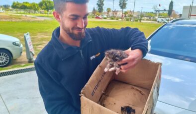 Antalya’da aracın motoruna giren yavru kedileri, kedi sesiyle çıkarmaya çalıştılar