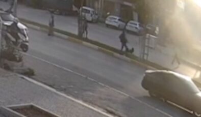 Antalya’da başıboş köpek paniği: Kaçan çocuğa motosiklet çarptı