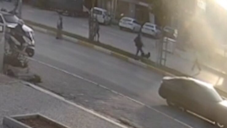 Antalya’da başıboş köpek paniği: Kaçan çocuğa motosiklet çarptı