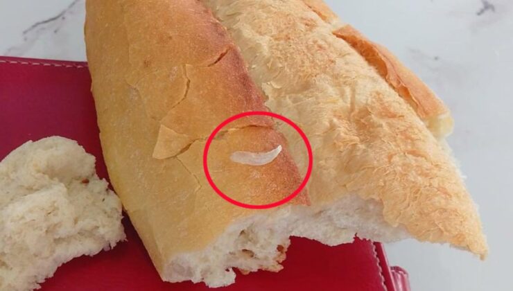 Antalya’da ekmeğin içinde ‘tırnak’ iddiası