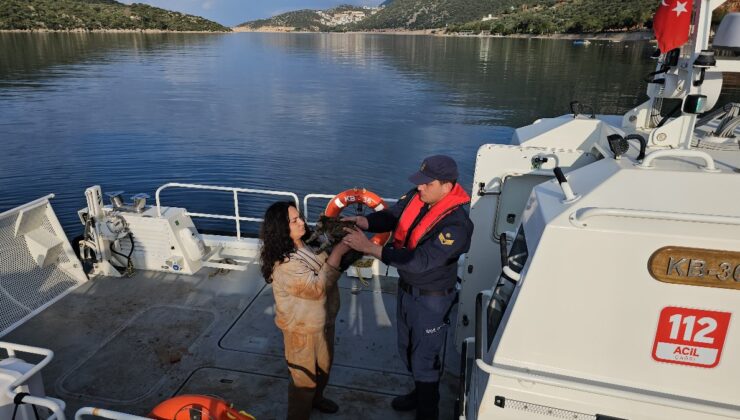 Antalya’da kaçak göçmen, yanında kedisiyle yakalandı