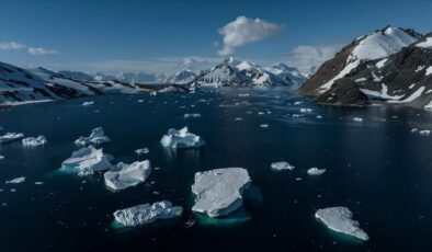 Antarktika kıtasında yeni deniz canlısı türleri bulundu