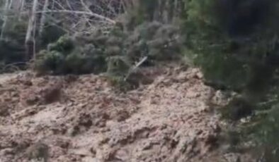 Artvin’de heyelan: Orman yerle bir oldu, köy yolu kapandı