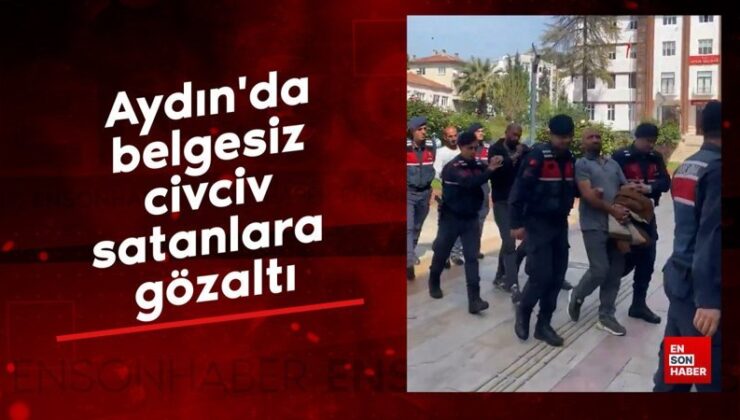Aydın’da belgesiz civciv satanlara gözaltı