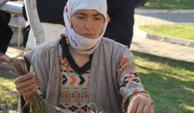 Aydın’da sarmaşık otu köylünün geçim kapısı oldu