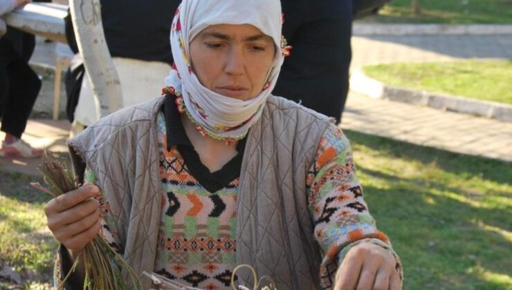 Aydın’da sarmaşık otu köylünün geçim kapısı oldu