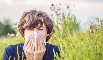 Bahar alerjisine iyi gelen bitkiler! İlaçları rafa kaldırıyor…