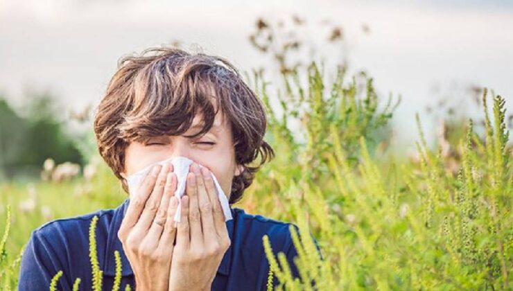 Bahar alerjisine iyi gelen bitkiler! İlaçları rafa kaldırıyor…